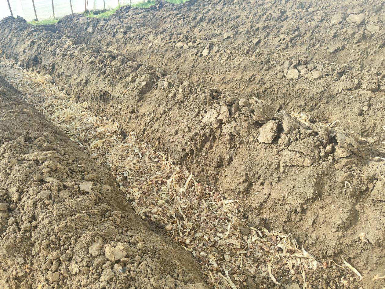 减排固碳即墨区秸秆利用玩出新花样