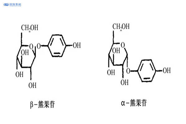 植物熊果苷在肌肤靓白中的作用和原理