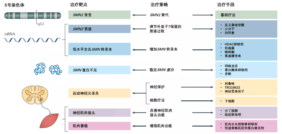 8421afc32c7442a9a17e0da78cd6eac1.png