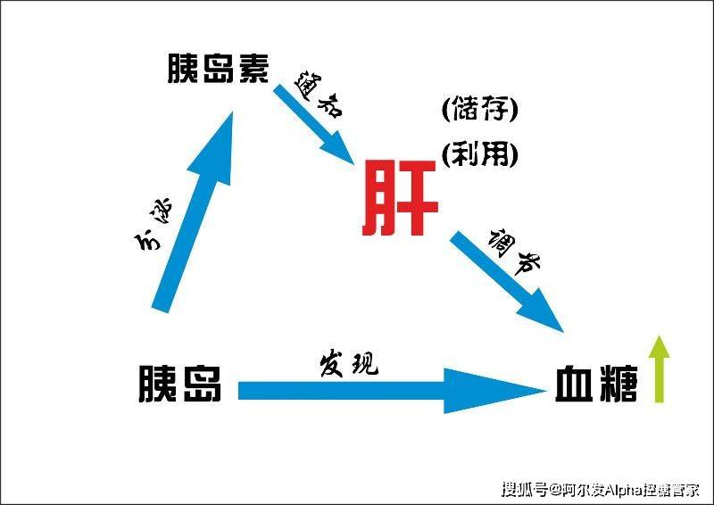 运动量|空腹血糖总不达标，问题可能出在哪儿？