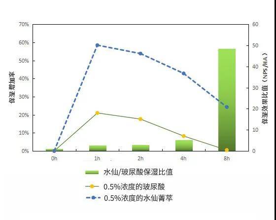 鳞茎伊姿佰成分佰科 | 肌肤活泉——水仙花背后的奥秘