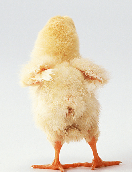 fde5924ddd694223bdd42586153aff9a.png
