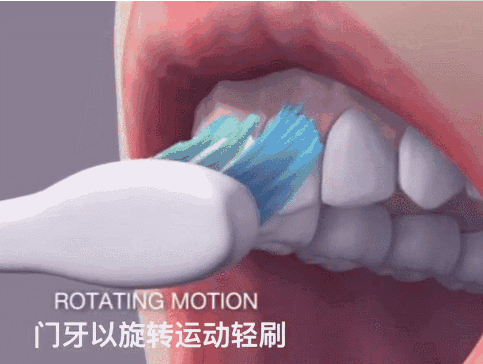 e2dfda50113b40168fa64a4a064766e2.png