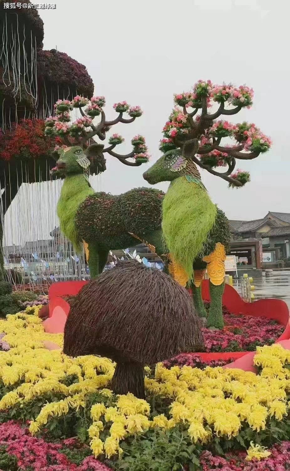 五色草造型植物绿雕,仿真植物绿雕,大型绿雕工艺品等制作,提供绿雕