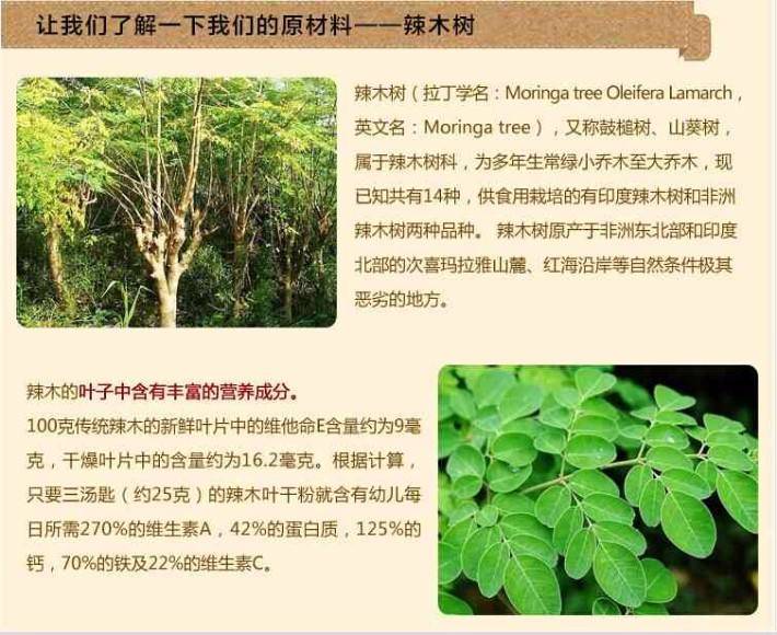 辣木的种植价值