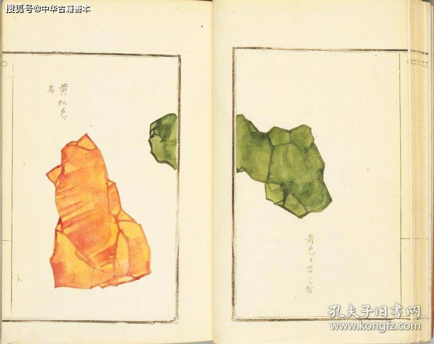 山草|本草图汇：19世纪日本写绘本