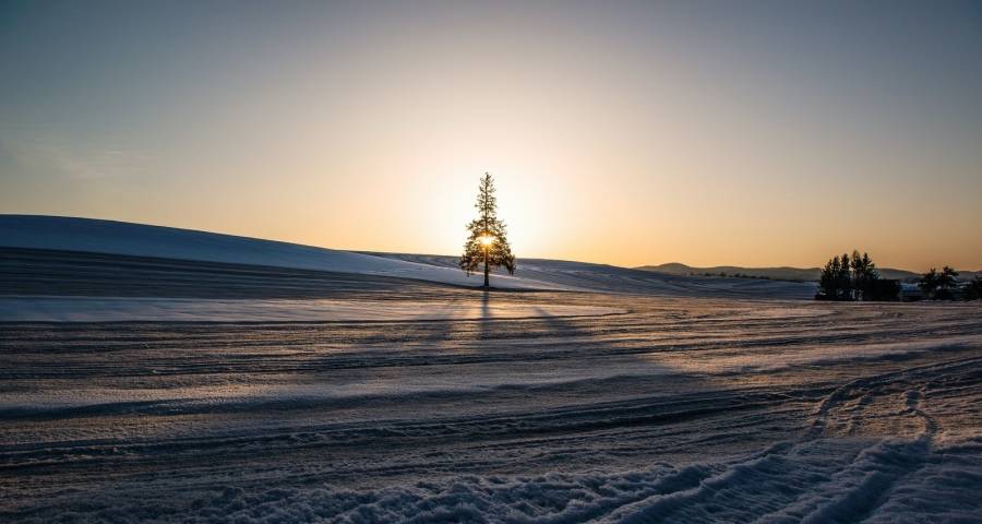 家电的商业化舞台不能只是家庭-家电圈官网