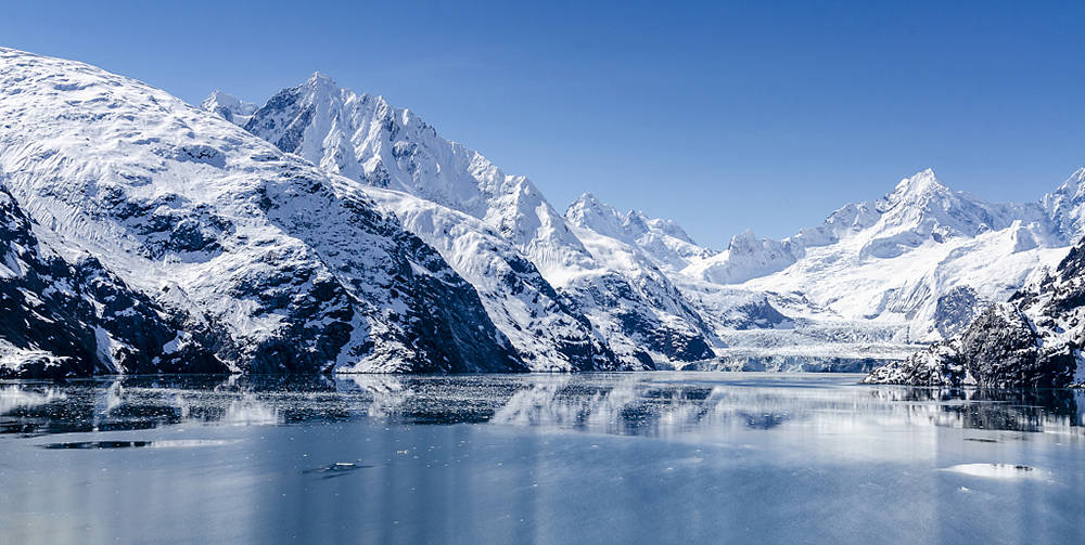 全球那么多海域到底哪个海域的海参最好