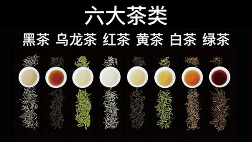 黄茶|祁门牌祁门红茶|女性喝茶怎么选？