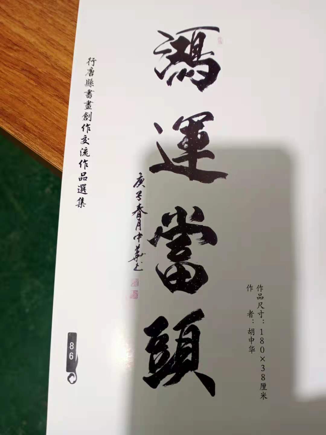 中国书法家协会会员胡中华书法鉴赏