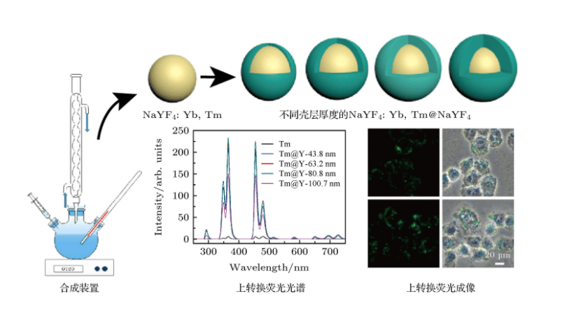 近红外光激发的上转换核壳微米棒的发光机理_纳米_颗粒_稀土