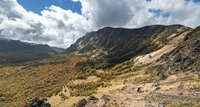 家电企业离不开渠道？只要有拥抱用户通道就行了-家电圈官网