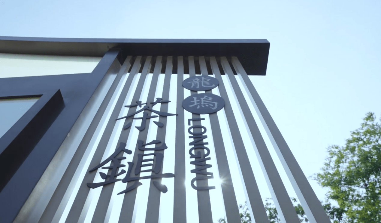 喜报龙坞片区喜提5条美丽河湖