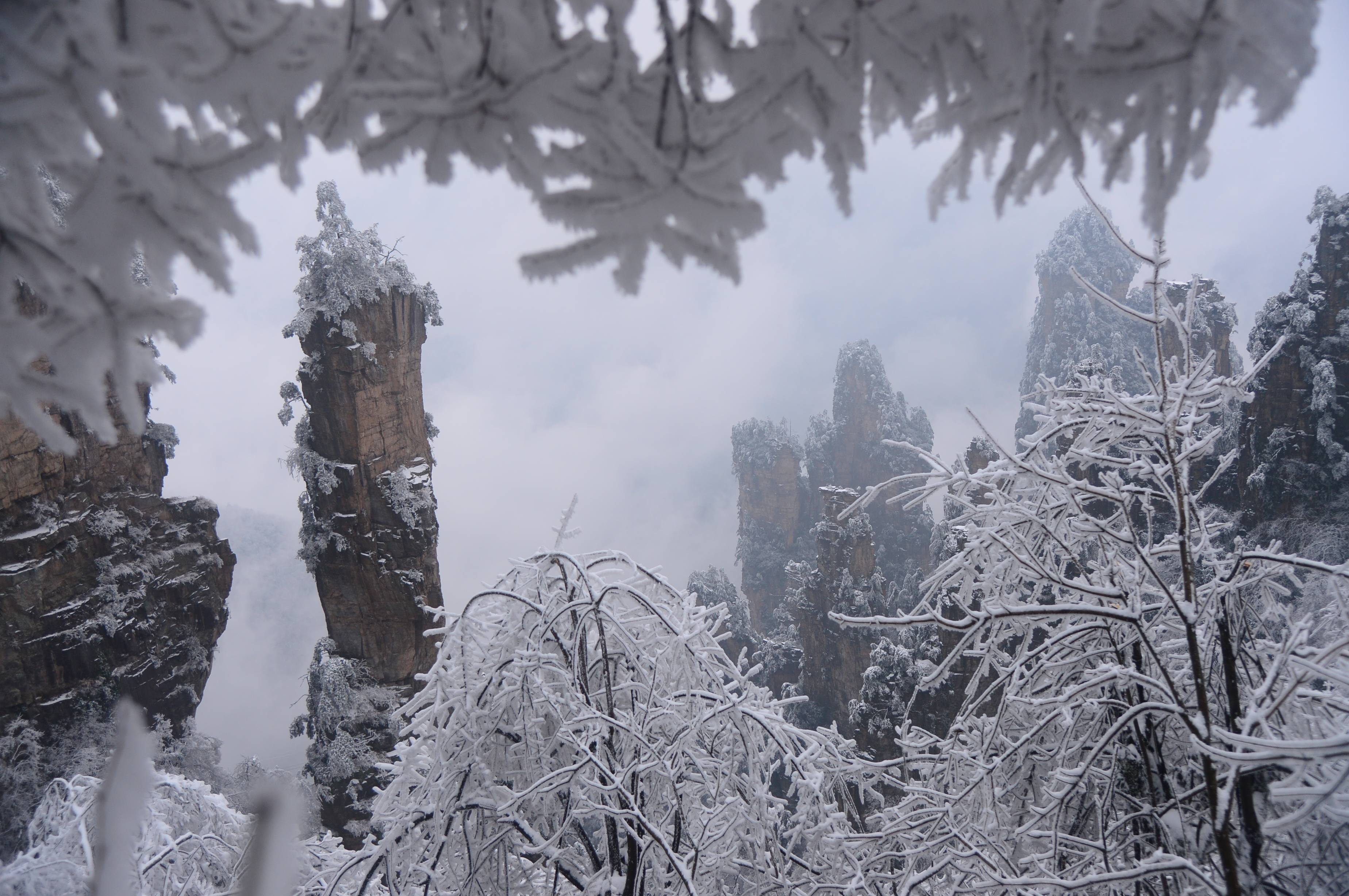 张家界景区：大年云雪美景醉游人