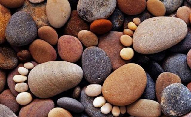 梦境解析，捕捉虾、石头与蛤蜊——探寻内心深处的隐喻与启示