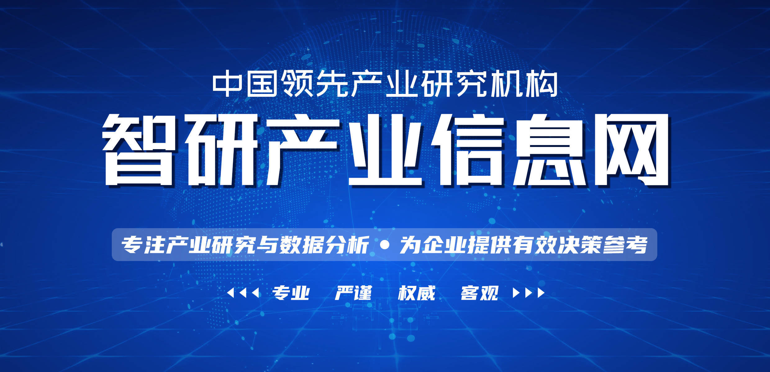 2022-2028年中国人力资源服务行业市场发展前景及投资风险评估报告