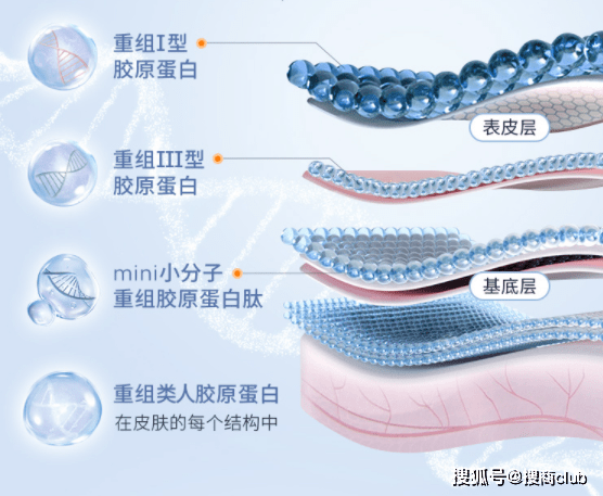 类人可丽金专研科学抗老，加持自信与从容