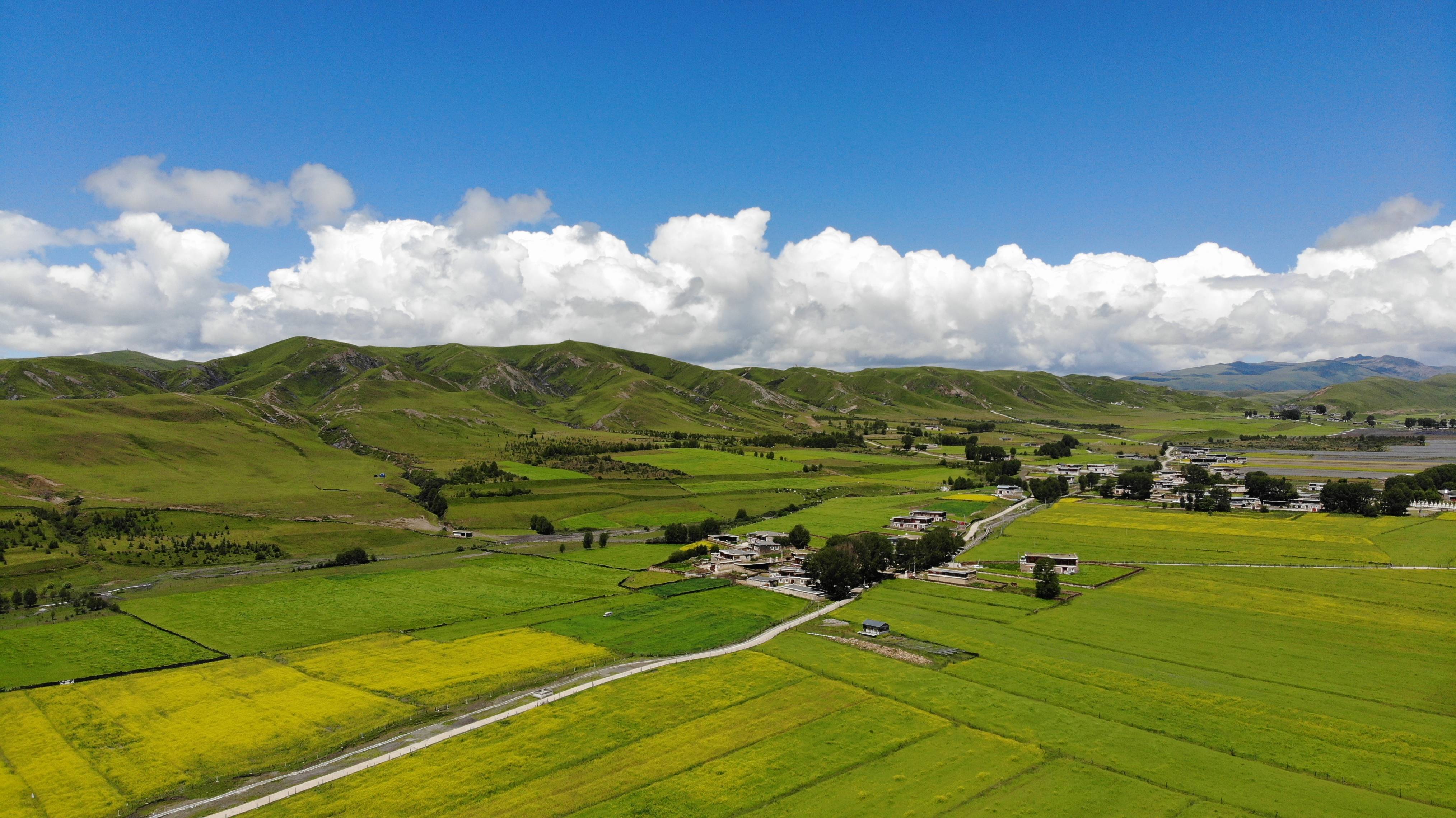 比赛|四川道孚，地处青藏高原的边缘，甘孜州上的小江南