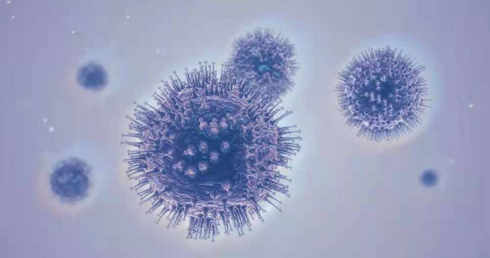 猫传腹,学名为猫传染性腹膜炎(fip),是由猫冠状病毒(fcov)感染引起的