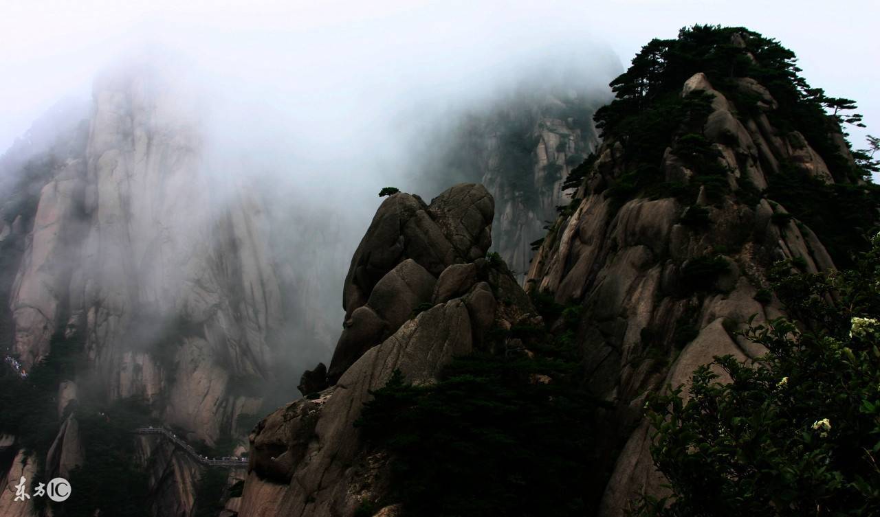 今曰生肖运势排行榜一_每日运势2022年(1月5日)十二生肖运势排行榜