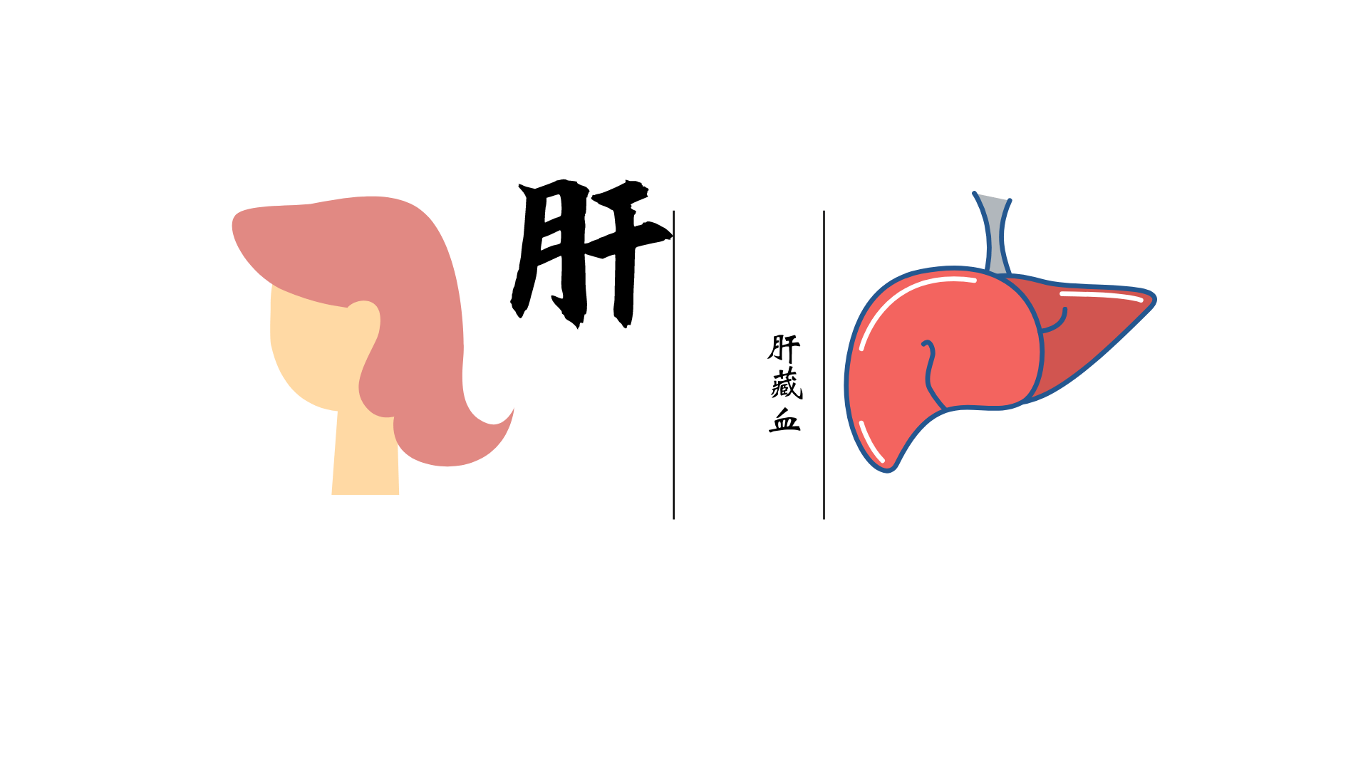 "肝藏血"4,头发与肾"肾藏精,其华在发 ".