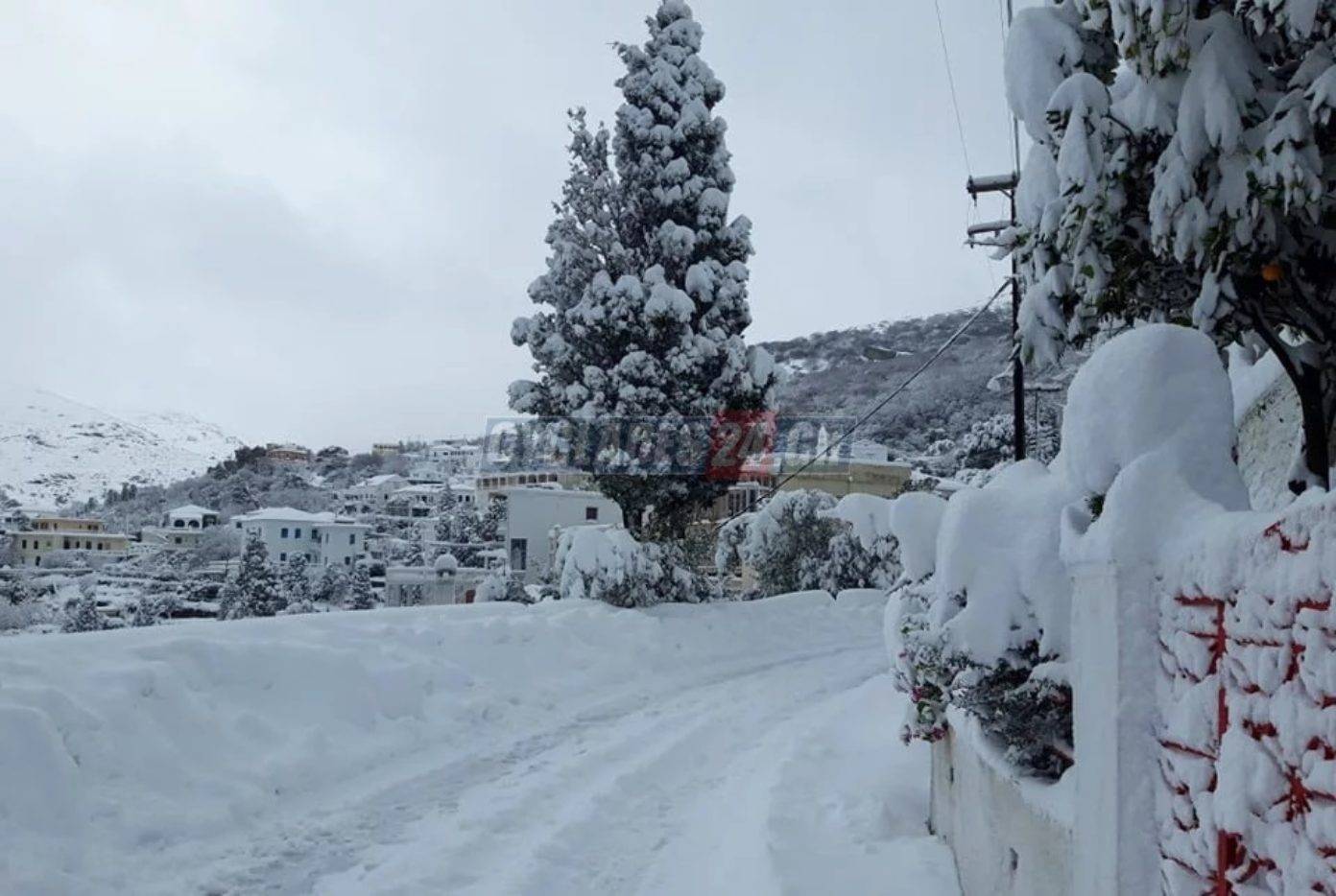 拜登|残酷的雪景，惨兮兮的美感