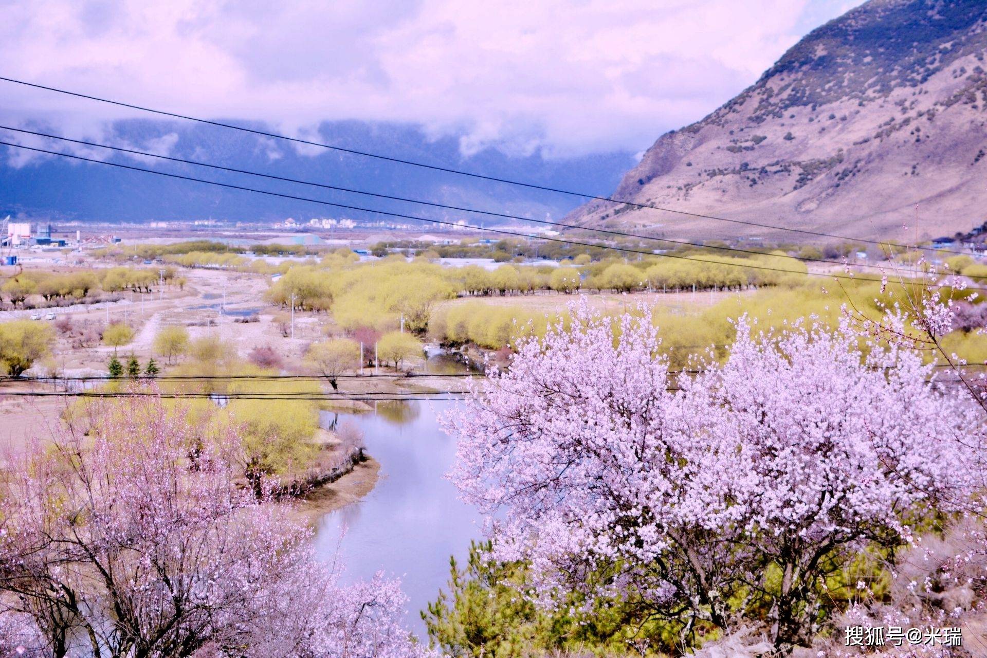 2022西藏林芝赏花指南附花期快收藏