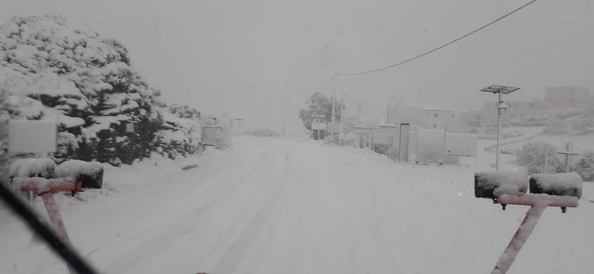 拜登|残酷的雪景，惨兮兮的美感