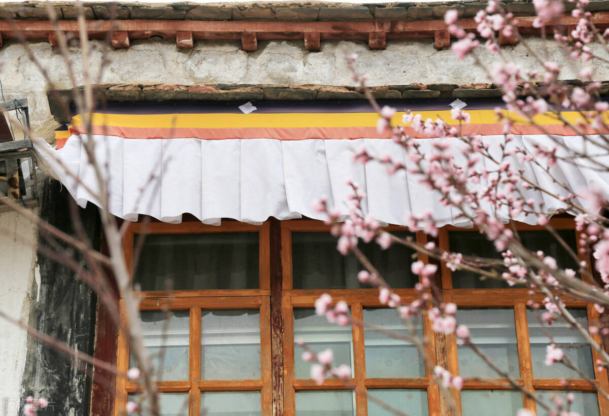 22年适合和家人一起去玩的地方 林芝 桃花 波密 索松村