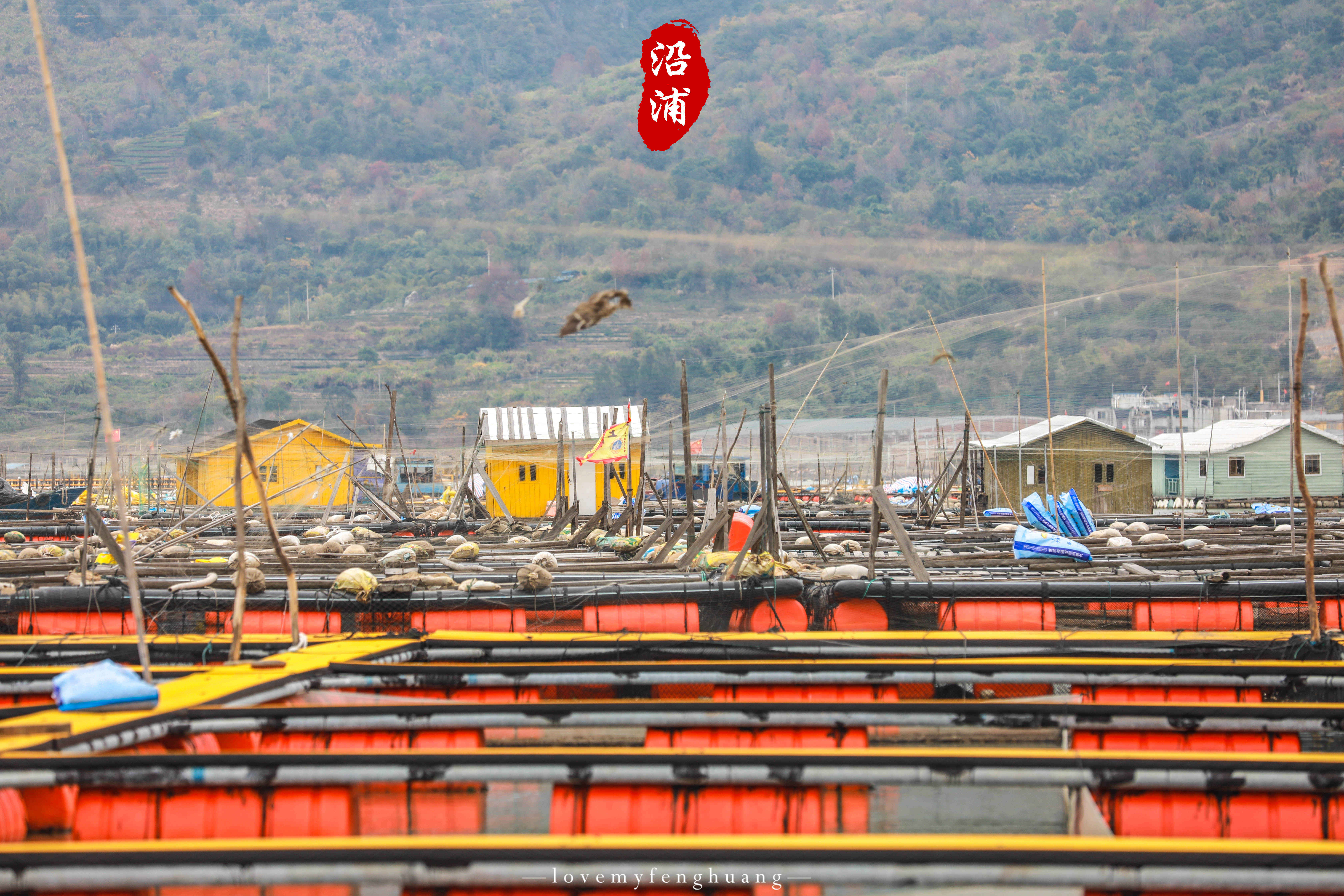 阳光|冬天的浙江沿浦，深受温州本地摄影师喜爱，还被誉为“浙江霞浦”