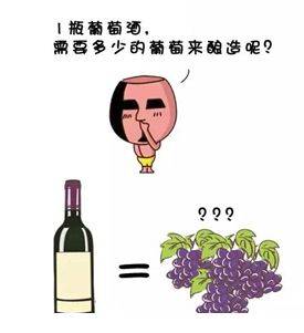 酿酒|一瓶葡萄酒需要多少葡萄酿造？看完震撼了！