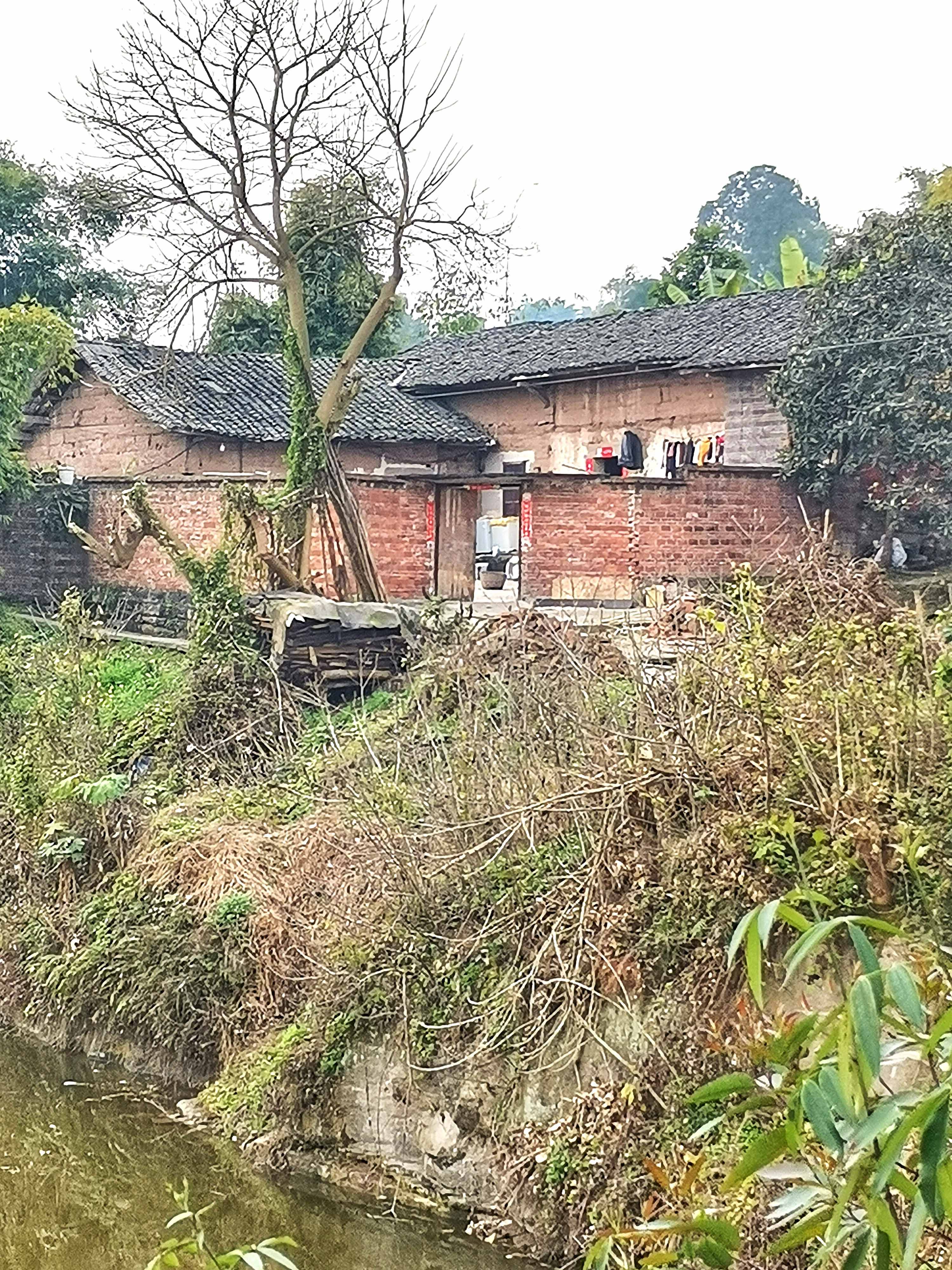 二月末的一天,乘车去了重庆永川区陈食镇.