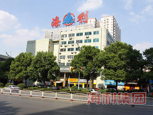 农化 锂电 种业,湖南海利"三驾马车"雏形初显