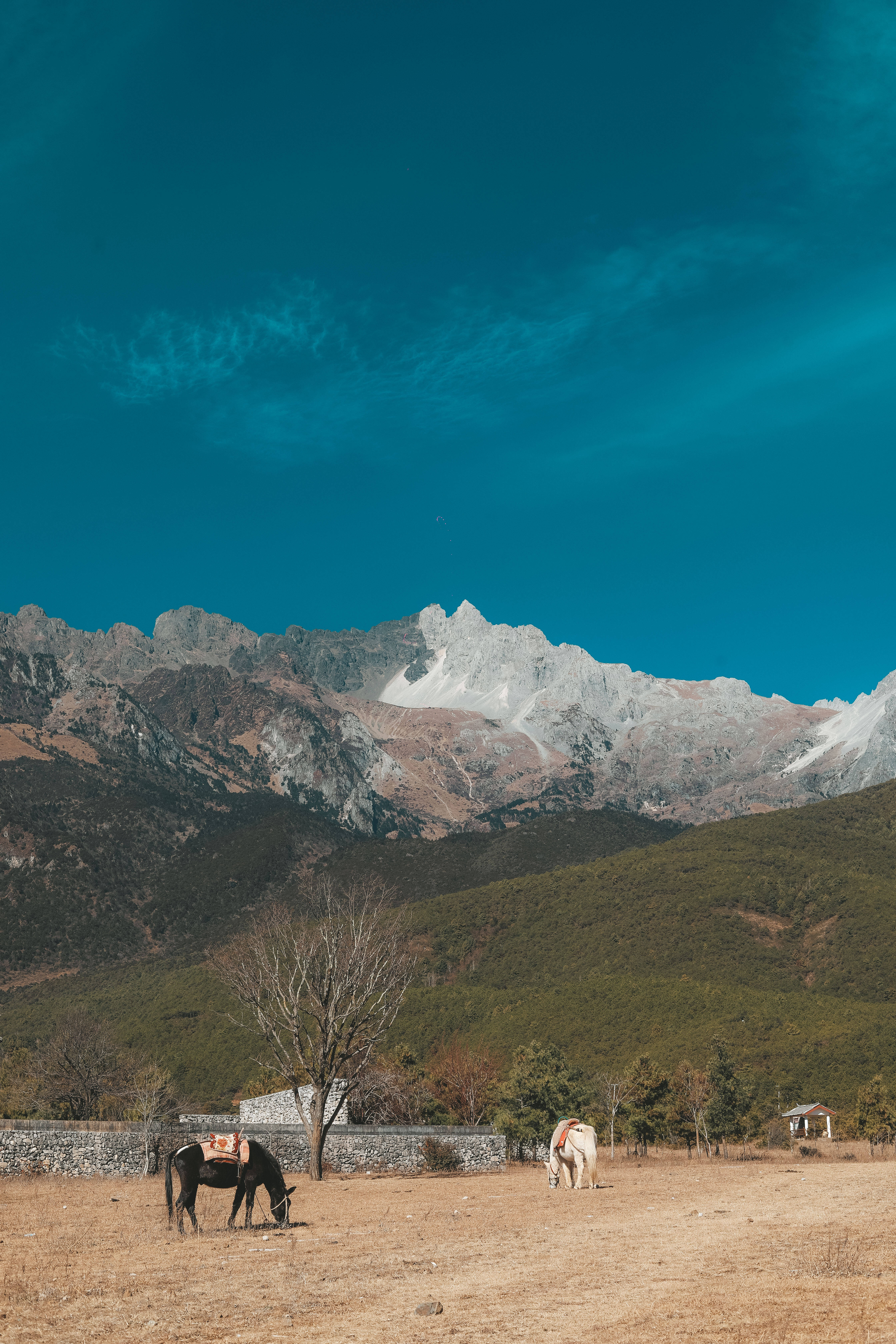 最靠近|最靠近玉龙雪山的村落，丽江的免费景点，《老闺蜜》大结局取景地