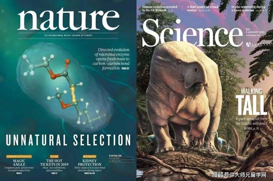 科学雑誌　nature 21冊 1504190_n.jpg