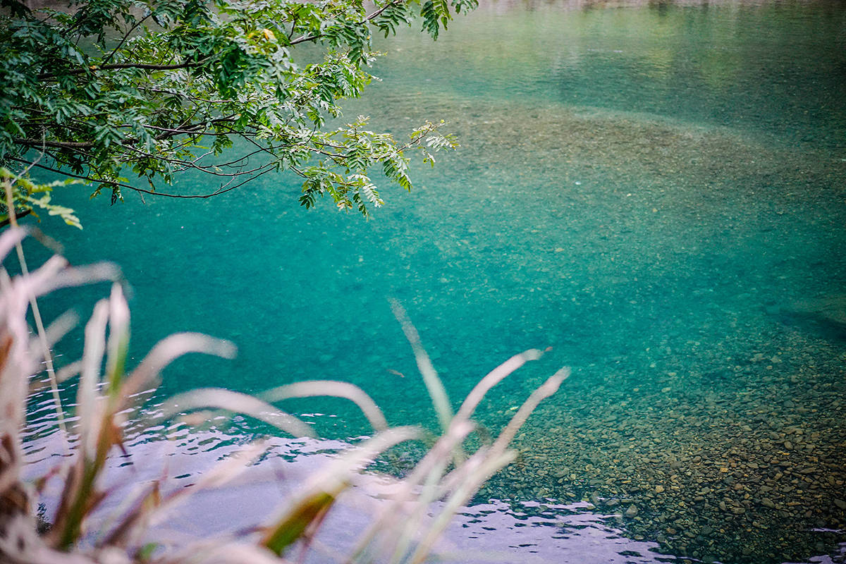 蓝色|有着“江南九寨沟”之称的仙居韦羌溪，虽不是景区，更胜景区之美