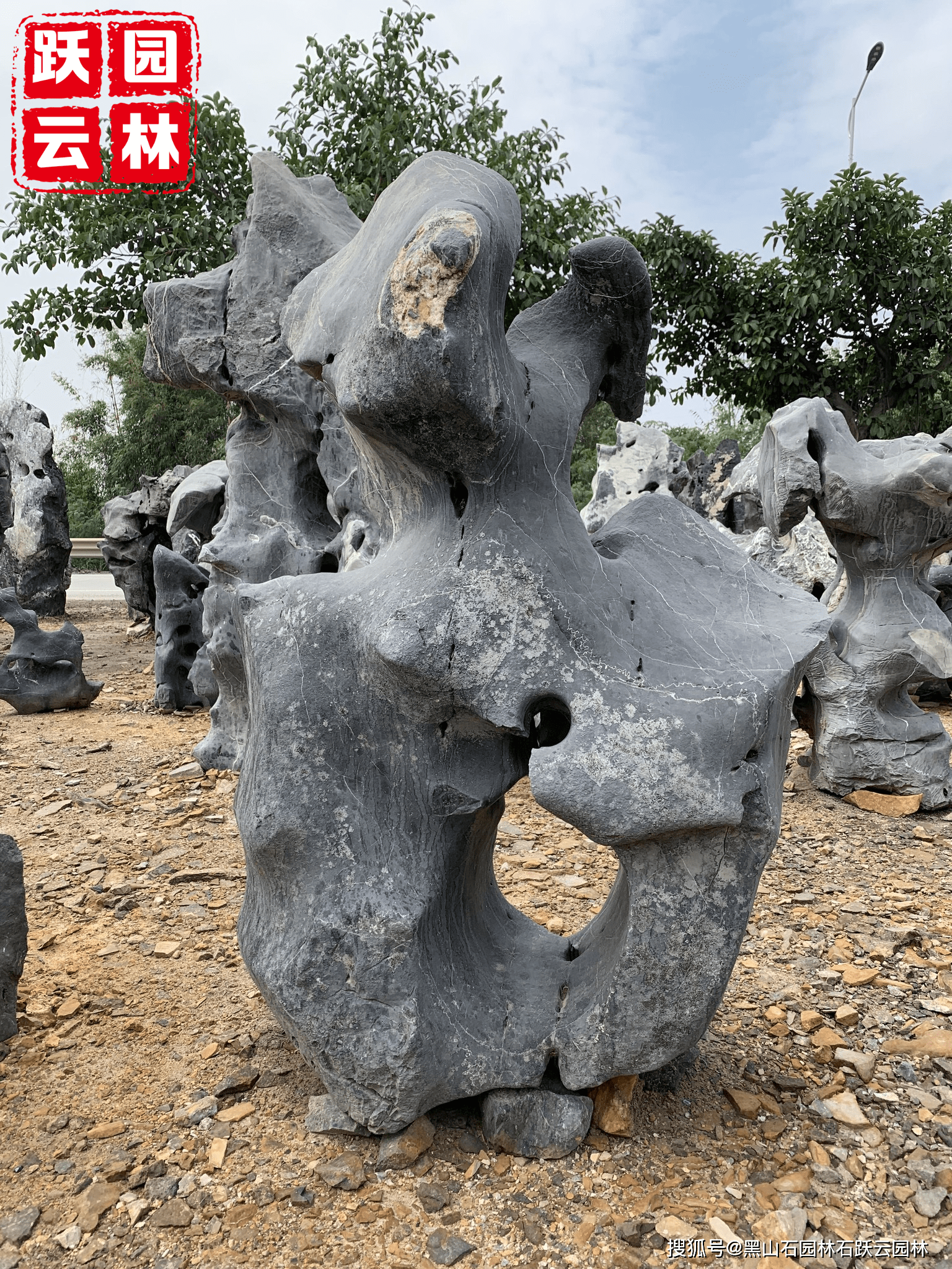 太胡石 庭石 天然石 景石 鑑賞石 自然石 造園 庭園 s-ni084-