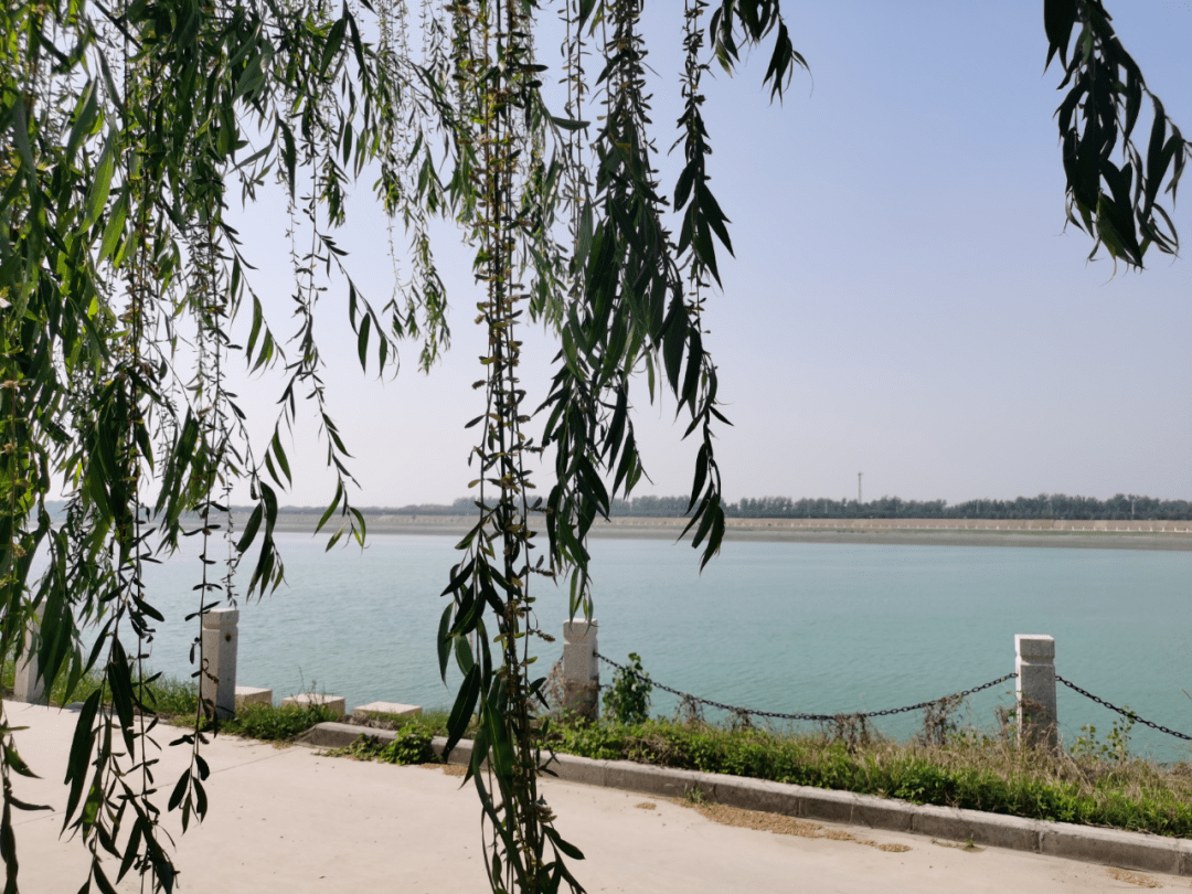 菏泽东明县全面推进河湖长制构建生态秀美新东明