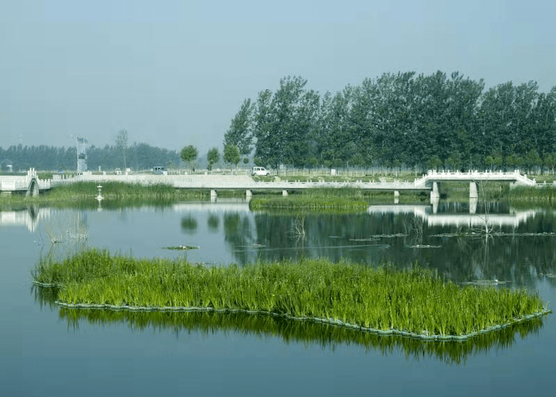 菏泽东明县全面推进河湖长制构建生态秀美新东明