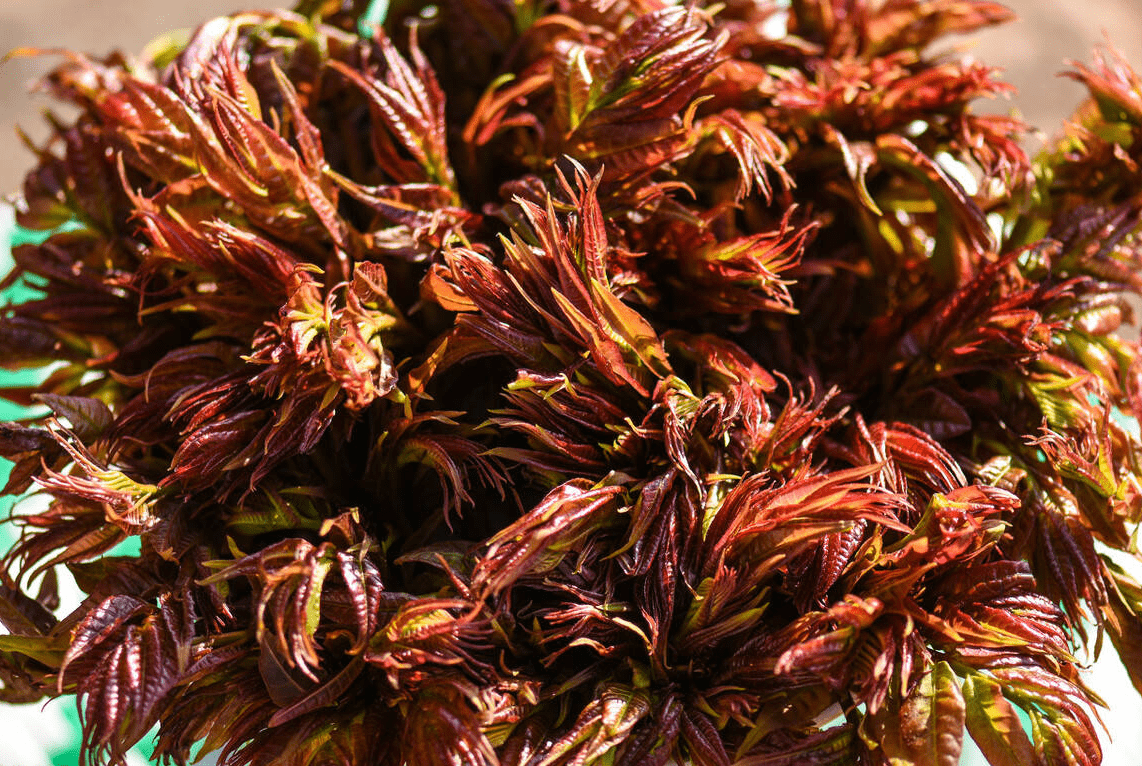 百合|明日春分，再忙也别忘吃“3菜3果3芽”，应季而食，助你安然度春