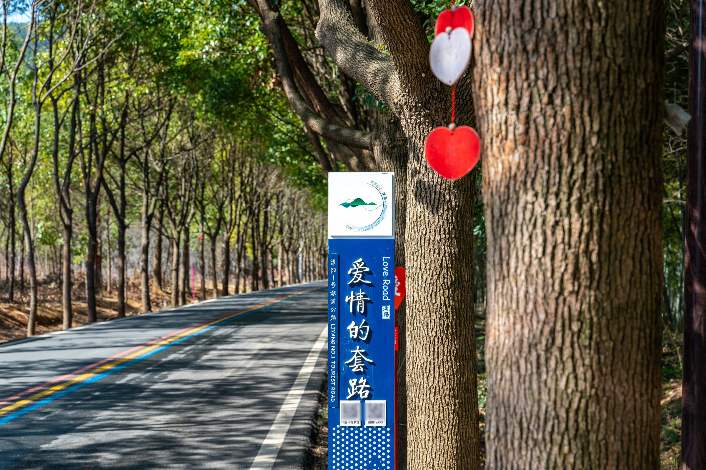 公路|溧阳有条彩虹公路，全长365公里，被誉为“江苏最美自驾公路”