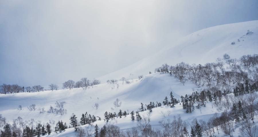 家电市场更严峻的挑战还在后头-家电圈官网
