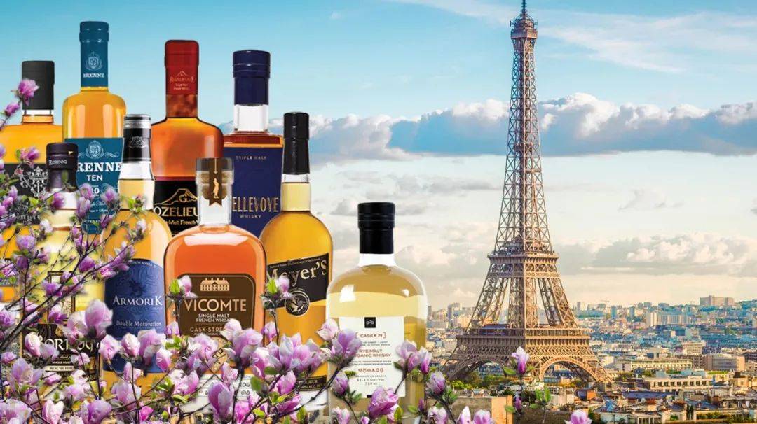 什么才是法国最流行的烈酒？
