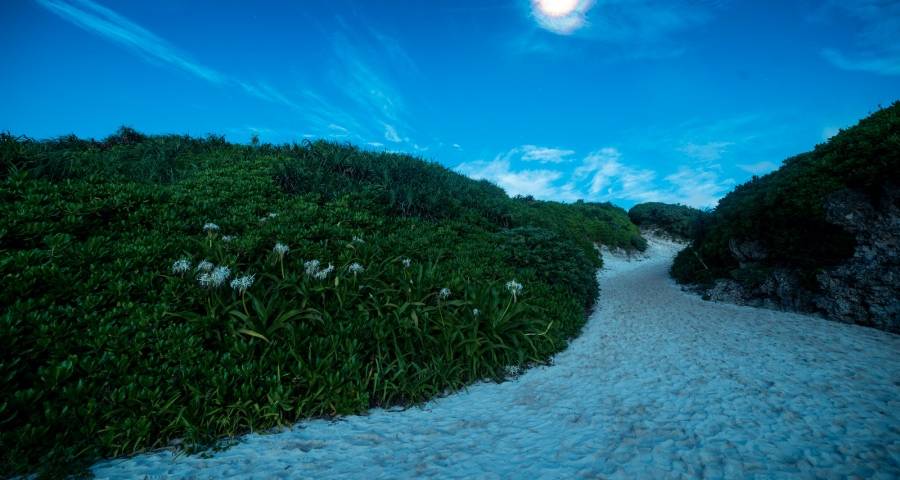 重返线下回归代理商是家电换道的新潮流吗?-家电圈官网