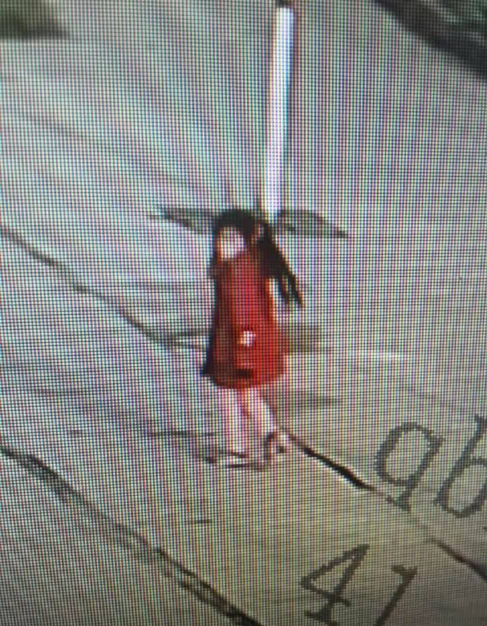 杀害7岁女孩,嫌疑人已被抓获,竟是同村76岁老人_河南7岁女孩遇害 76岁