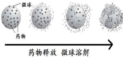 图4 纳米球代表缓释微球的药物释放过程优势:所使用的聚合物具有高度