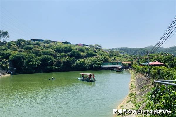 週末遊玩好去處東莞周邊體驗感超滿足的農家樂田園野炊燒烤