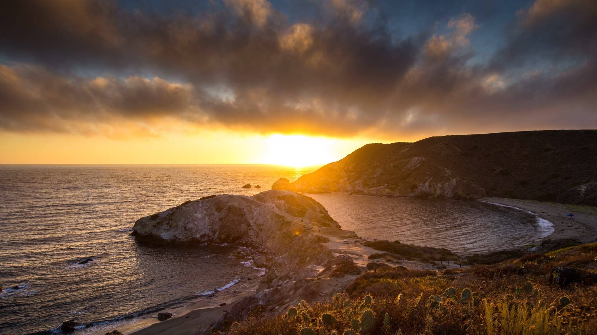 卡塔利娜鲸鱼湾5k动态壁纸