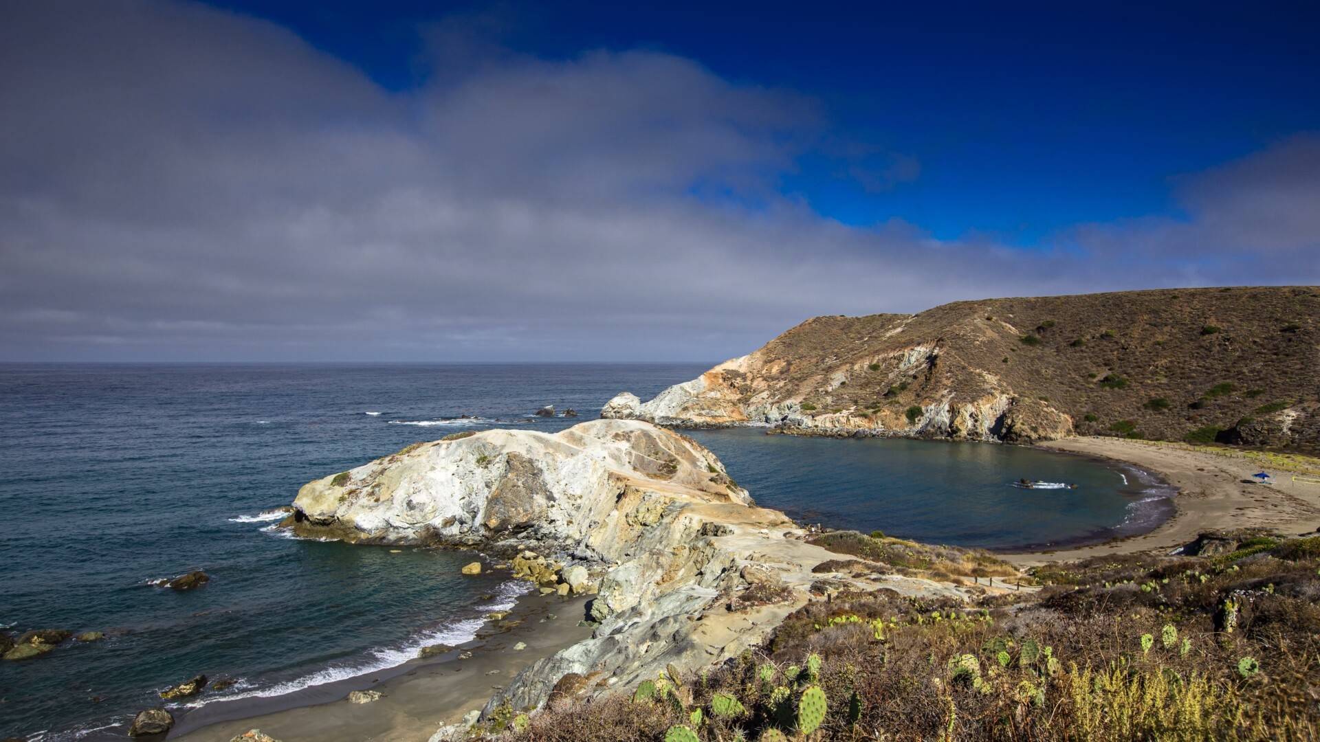 卡塔利娜鲸鱼湾5k动态壁纸