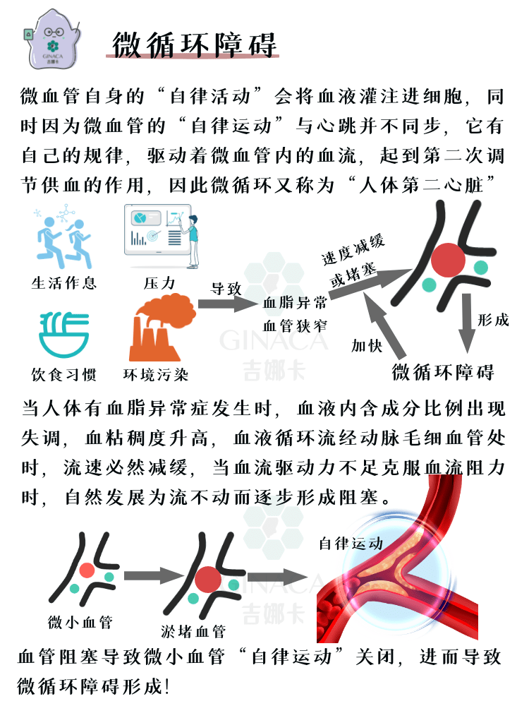 抗初老之皮肤微循环科普级皮肤手册